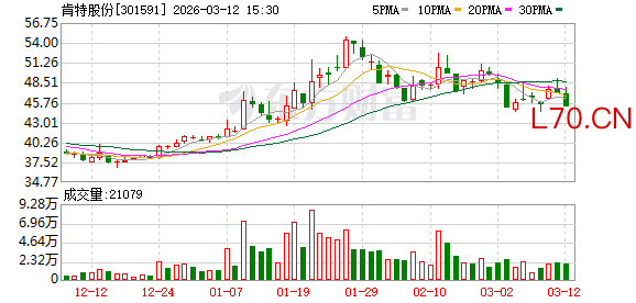 肯特股份：截至3月10日公司股东总户数为8537户