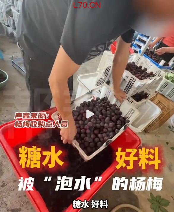 拿防腐剂甜味剂泡杨梅，如何守护消费者“舌尖上的安全”