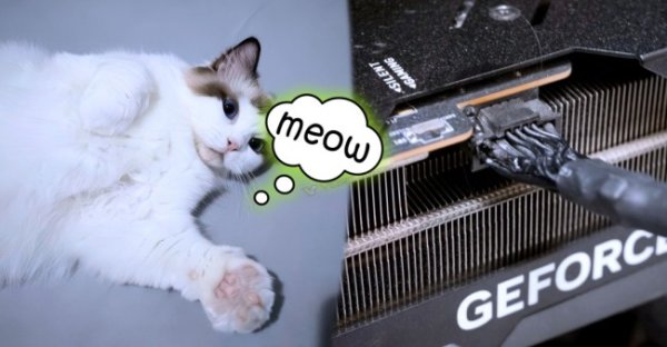 玩家的RTX 4090被烧毁 猫咪竟然是第一个发现