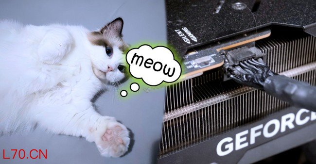 玩家的RTX 4090被烧毁 猫咪竟然是第一个发现