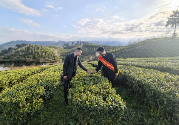 工行铜仁分行：引金融“活水”润茶山 绘就乡村振兴新画卷