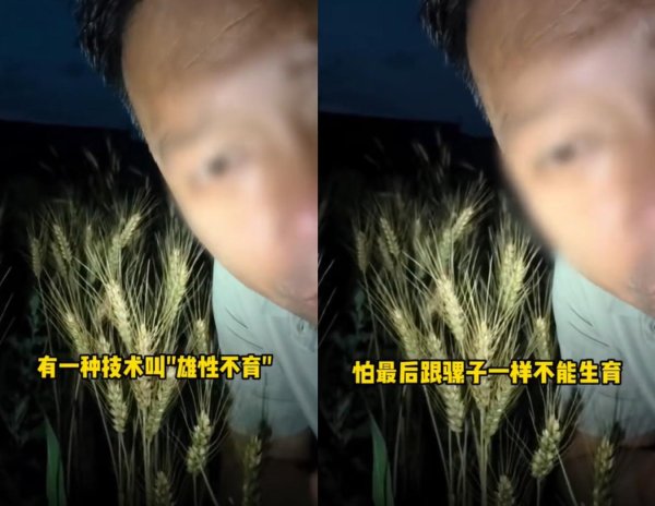 超200万粉丝网红诋毁袁隆平成果, 这是彻头彻尾的忘本!